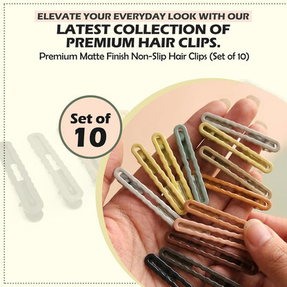 10 Piece Multicolour Hair Clips